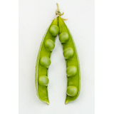 Example image from minnawaring photography - lifestyle photography 